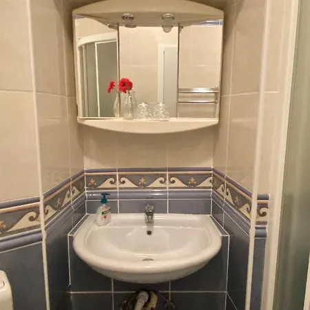 Vila Milada Gostinjska kuća *